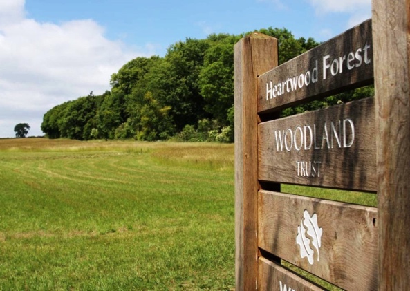 Heartwood Forest: putting down roots | Hertfordshire wildlife ...